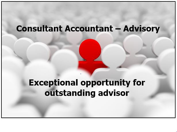 Consultant Accountant - Advisory