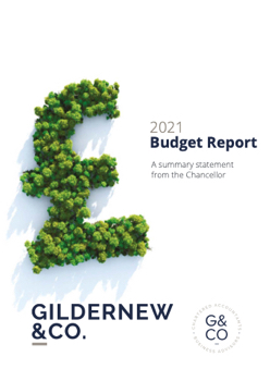 Budget Report 2021
